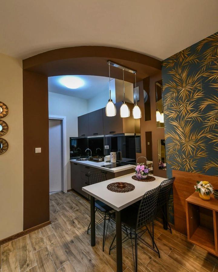 Apartman Dolar 克拉列沃 外观 照片